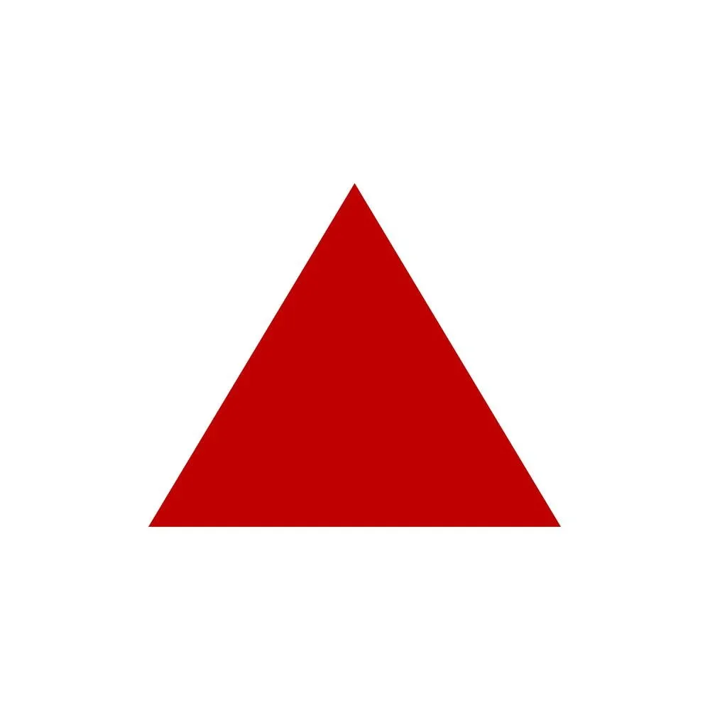 SPICY TRIBE Logo