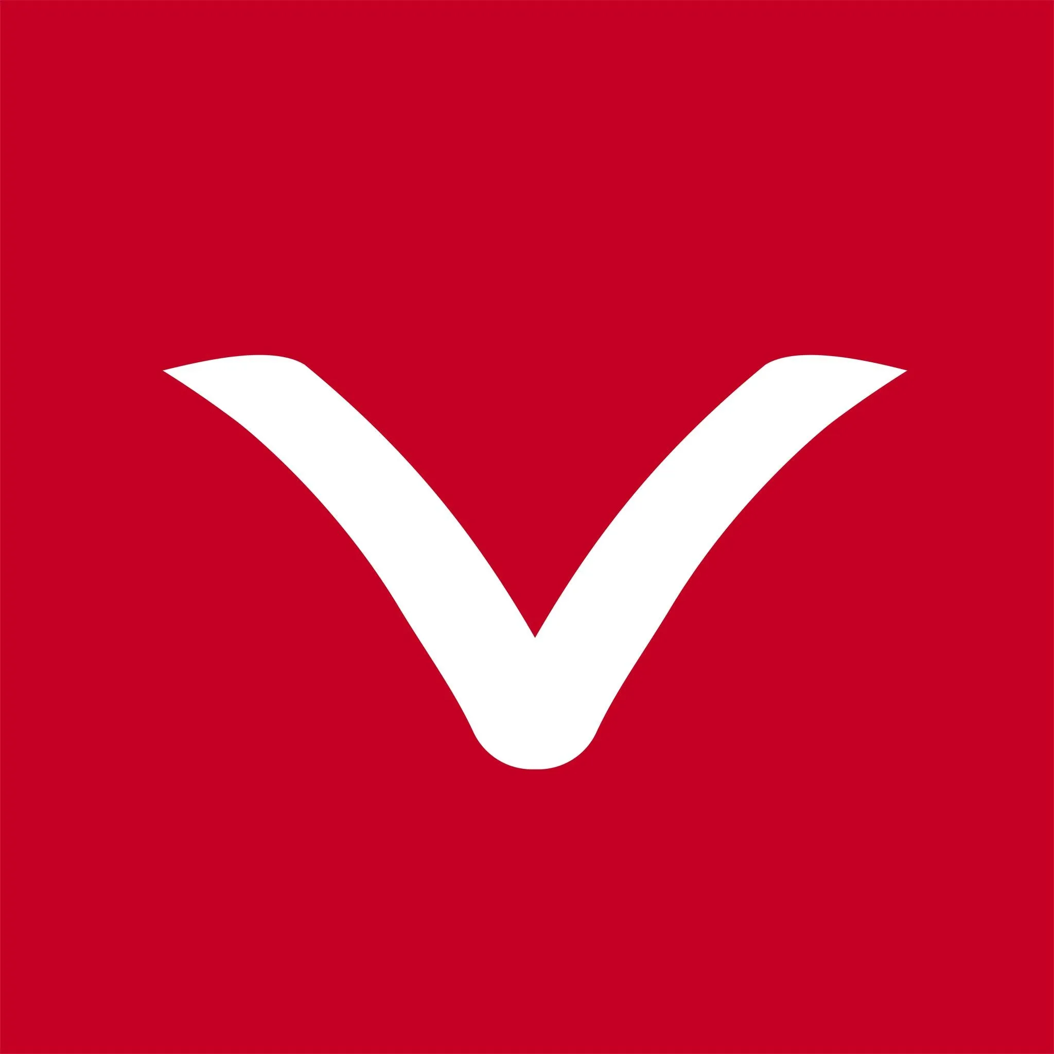 Vitruvian Agency Logo