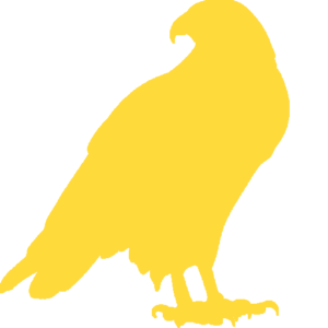 Las Vegas SEO Raptor Logo
