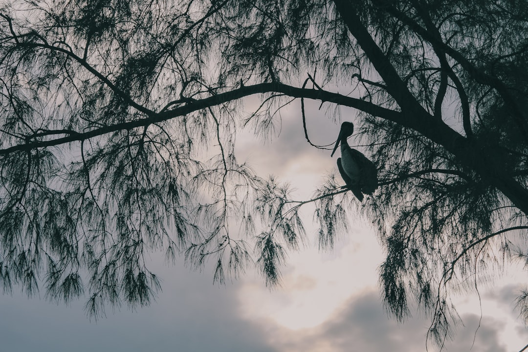 fort-lauderdale city photo — Web Tonic