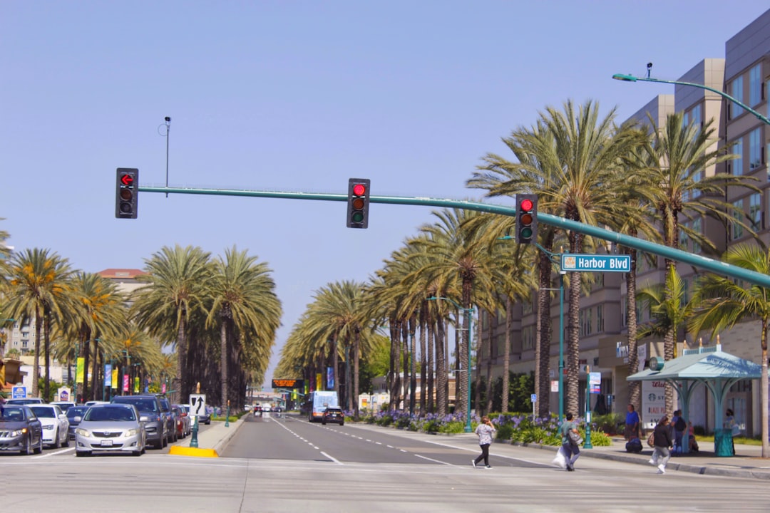 Anaheim Accessibility city photo — Web Tonic