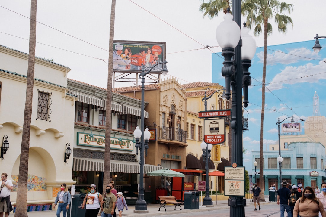 Anaheim Brand Ambassadors city photo — Web Tonic