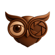 Owl Photography Studio Logo