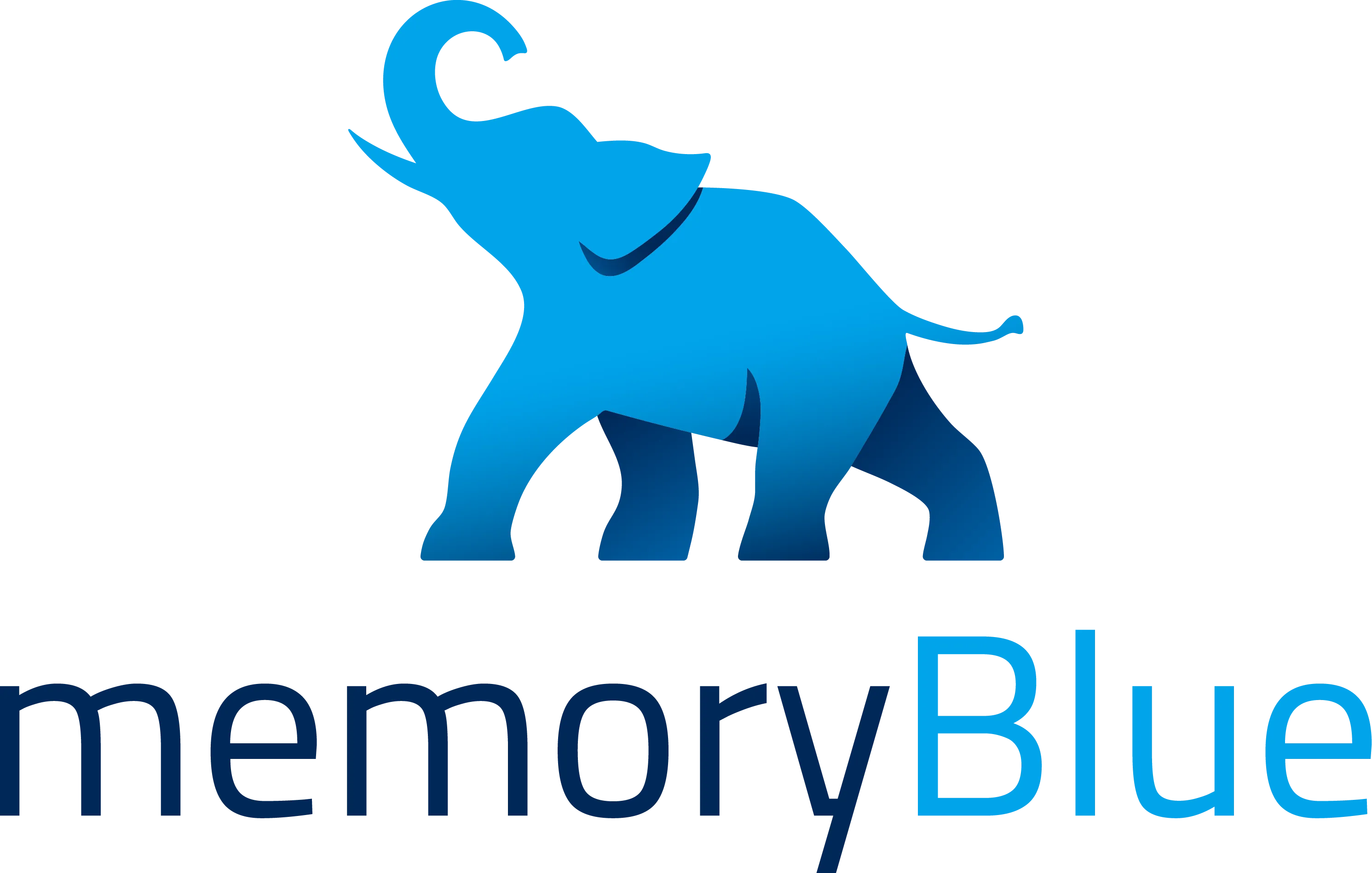memoryBlue Logo