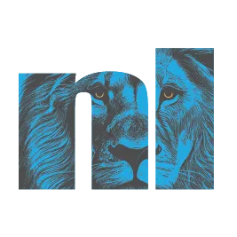 Next Level Digital Marketing Logo