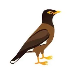 Myna Marketing Logo