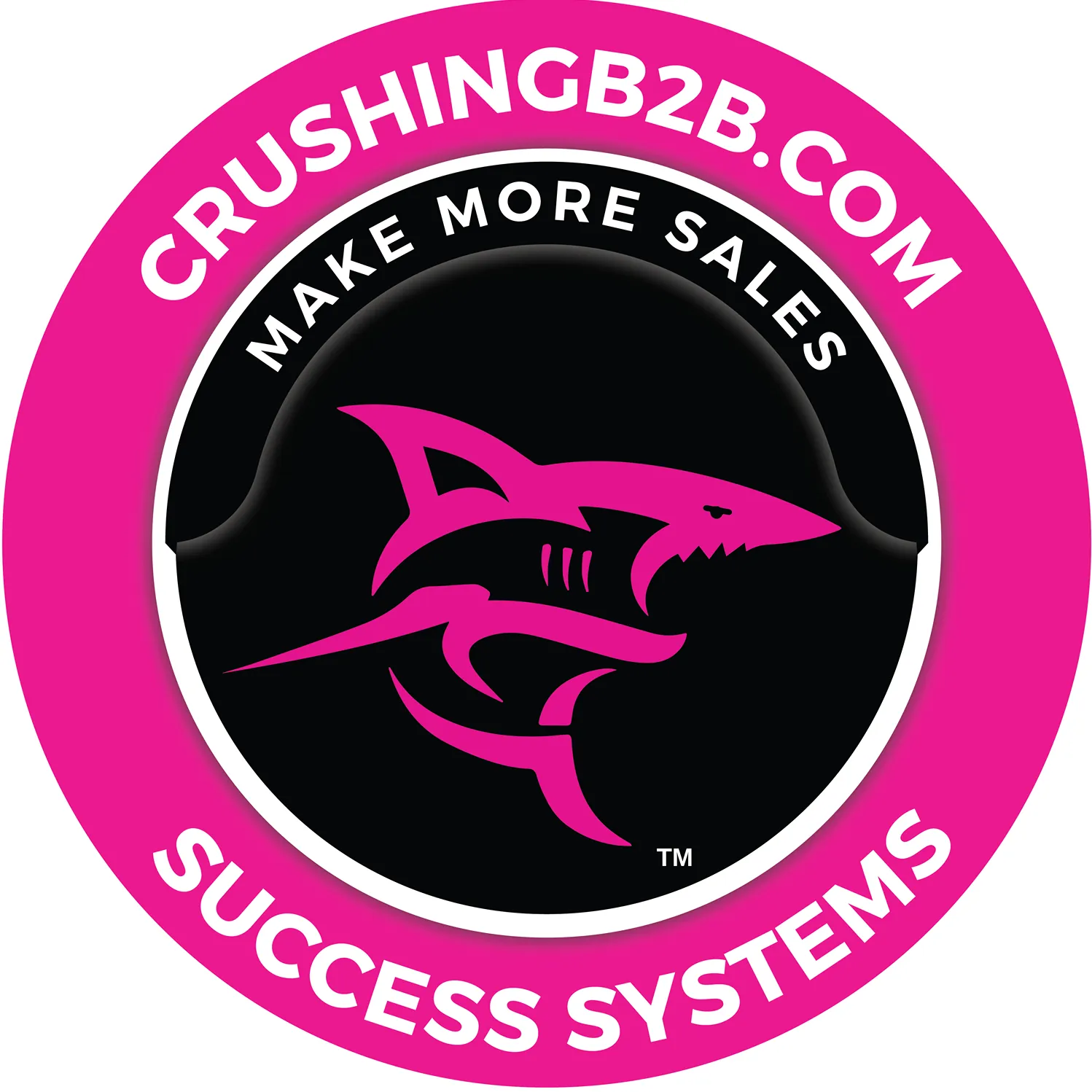 Crushing B2B Digital Strategies Logo