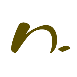 Nya Skipper Digital Marketing & Consulting, LLC Logo