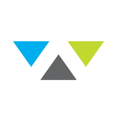 Wiser Strategies Logo