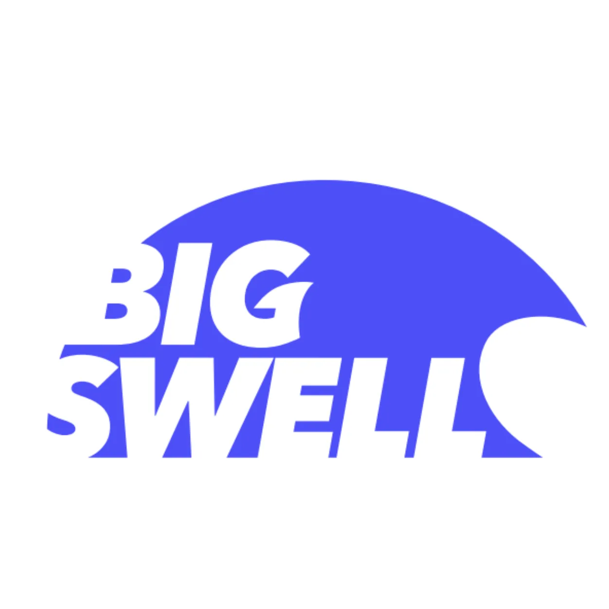 Big Swell Logo