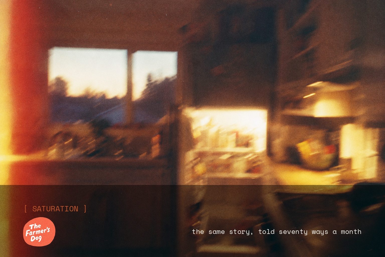 The Farmer’s Dog brand campaign image, night scene shot on film