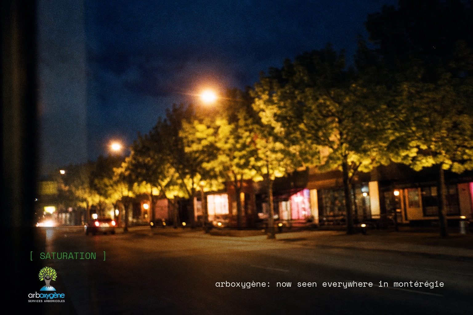 Arboxygène brand campaign image, night scene shot on film