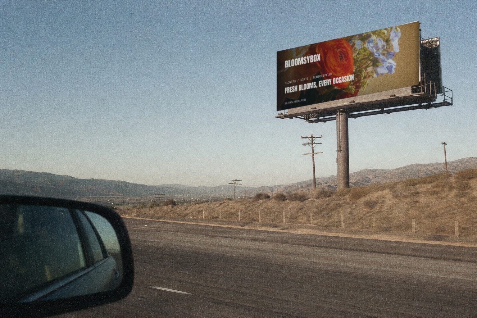 BloomsyBox campaign render — highway billboard