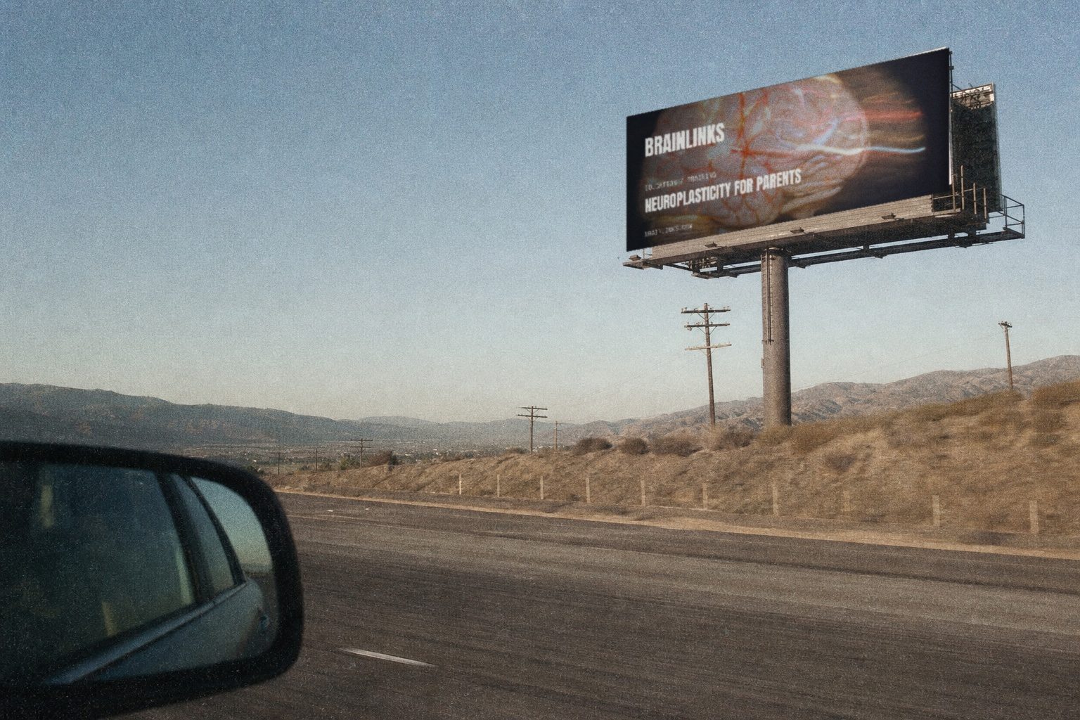 BrainLinks highway billboard