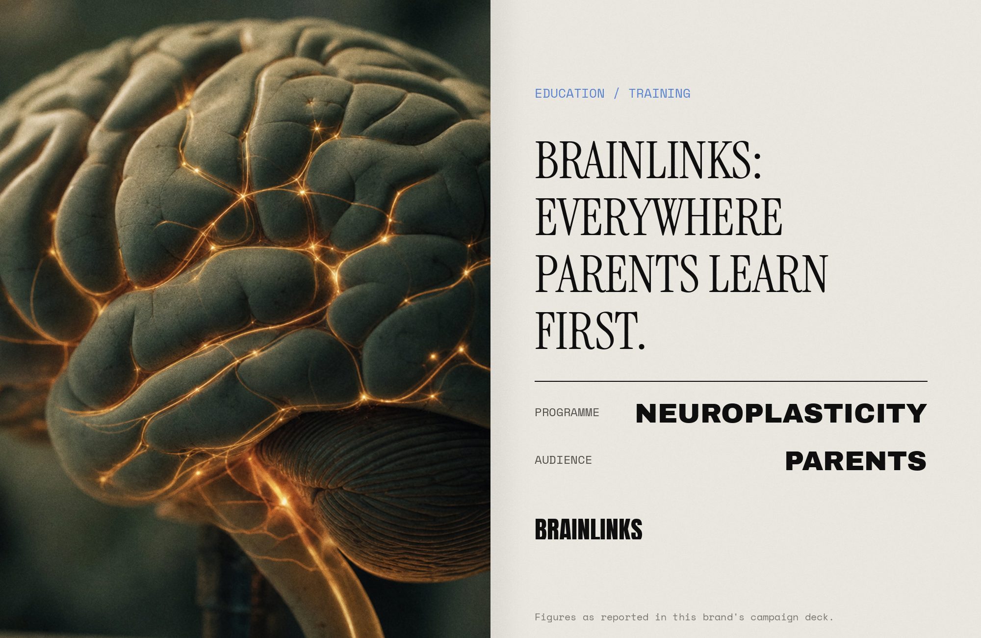 BrainLinks press spread