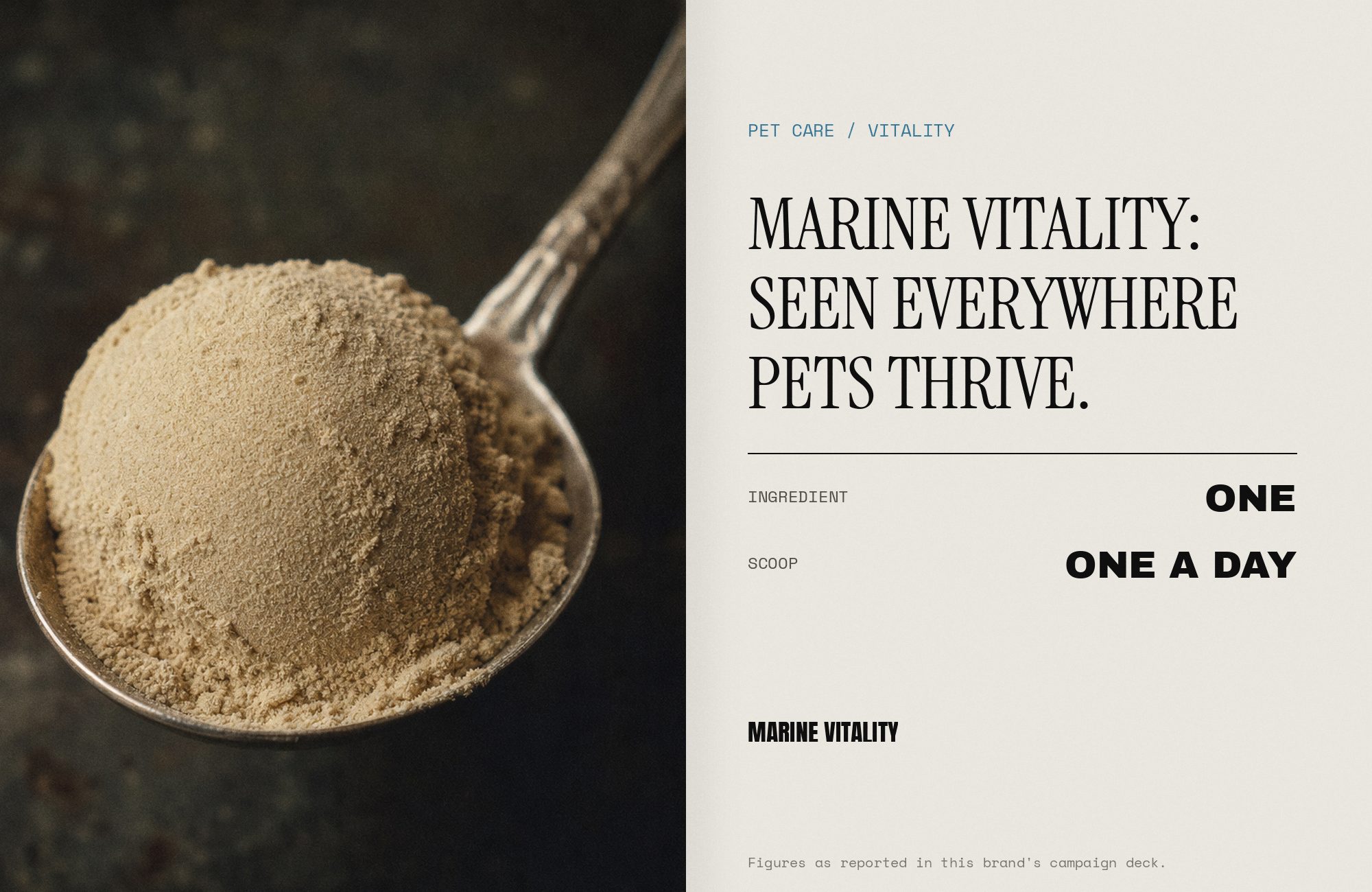 Marine Vitality press spread render