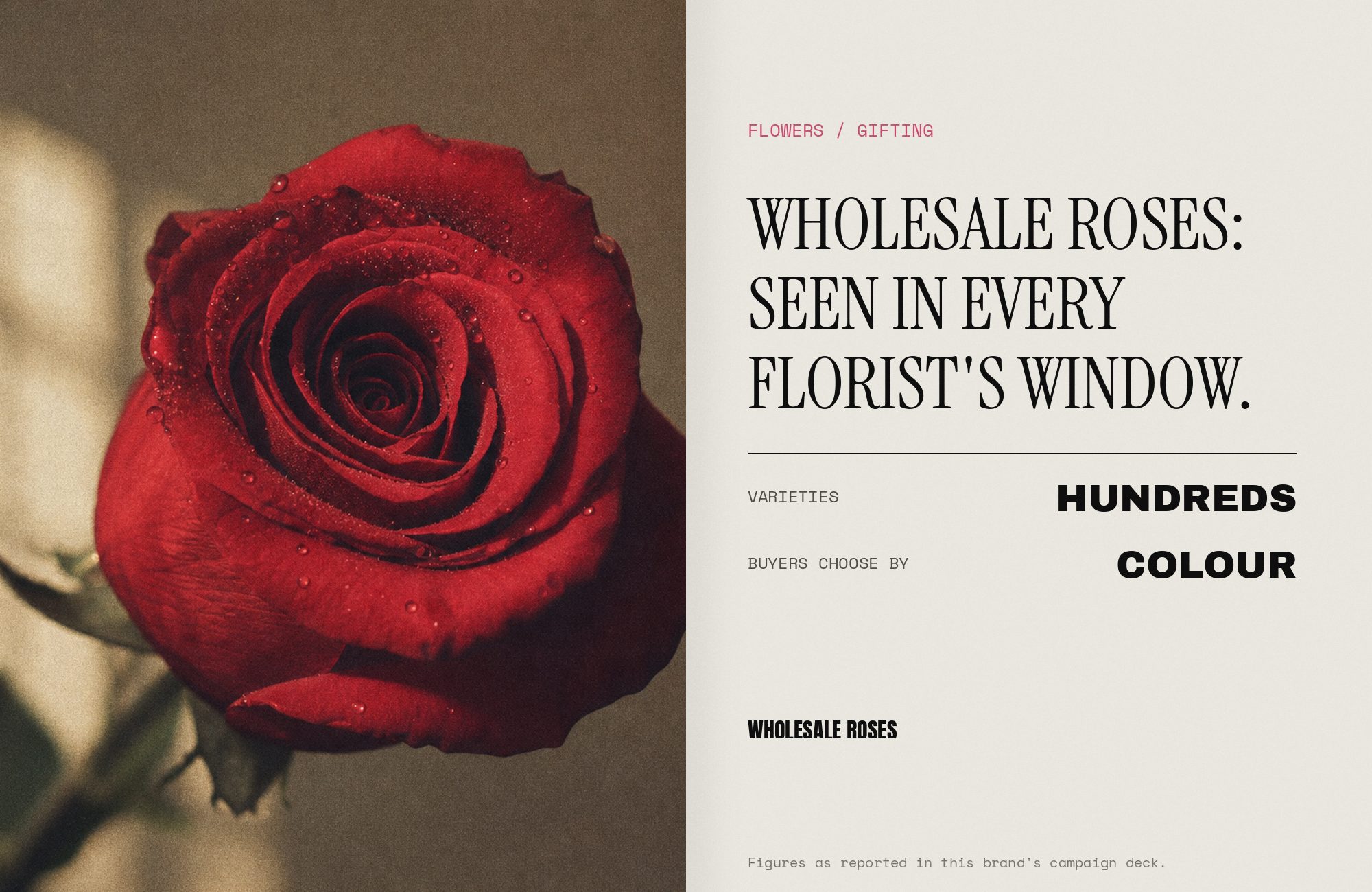 Wholesale Roses campaign render — press spread