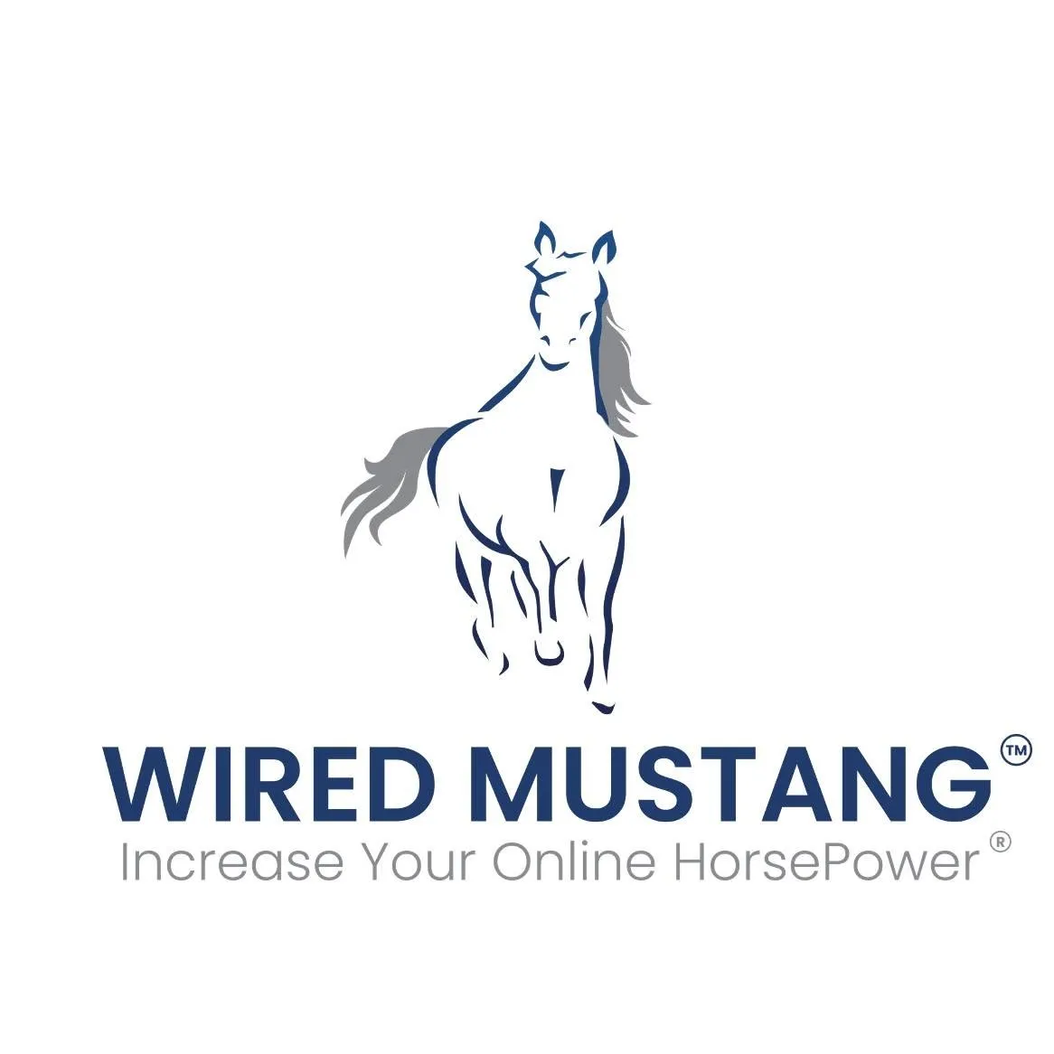 Wired Mustang Inc. Logo