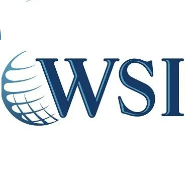 Digital Dynamics WSI Logo