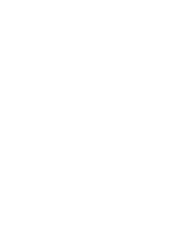 Brussels Video Crew Logo