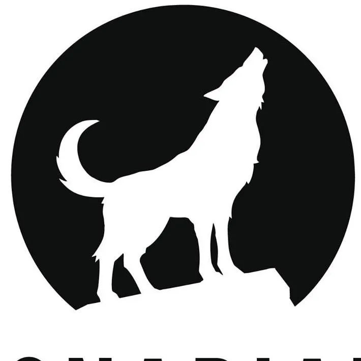 Visionaria Film Logo