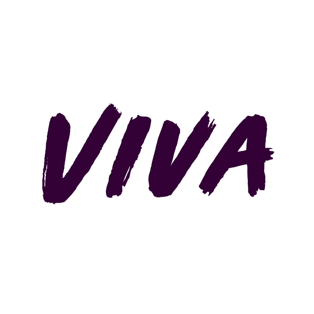 Vivacity Video Logo