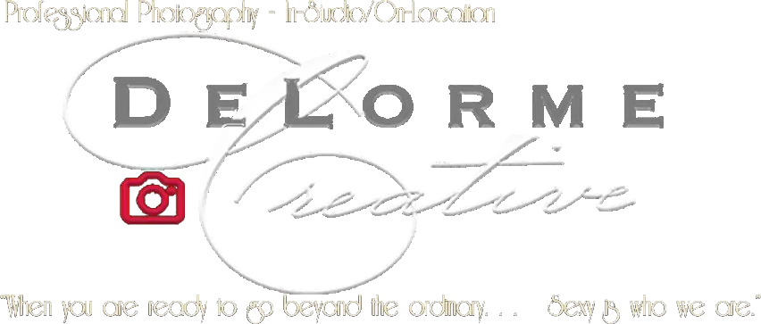 DeLorme Creative Logo