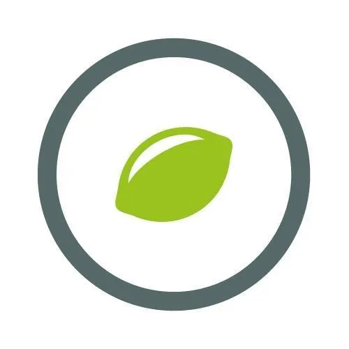 LIMESODA Webagentur Logo