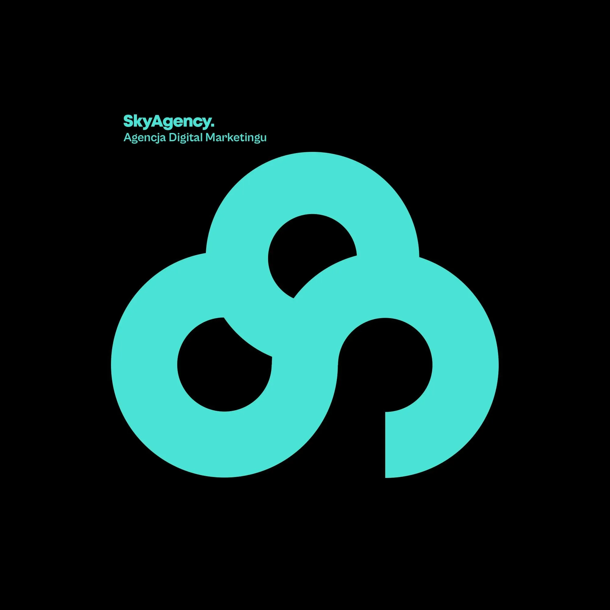 Sky Agency 360 Logo