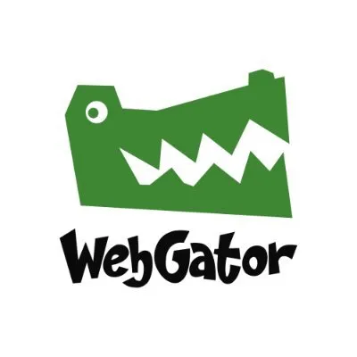 The Brisbane SEO Guy Logo