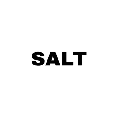 Salt Agency Logo