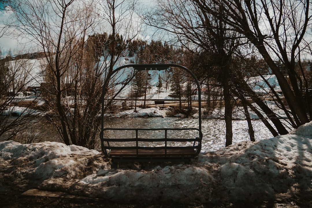 colorado-springs city photo — Web Tonic