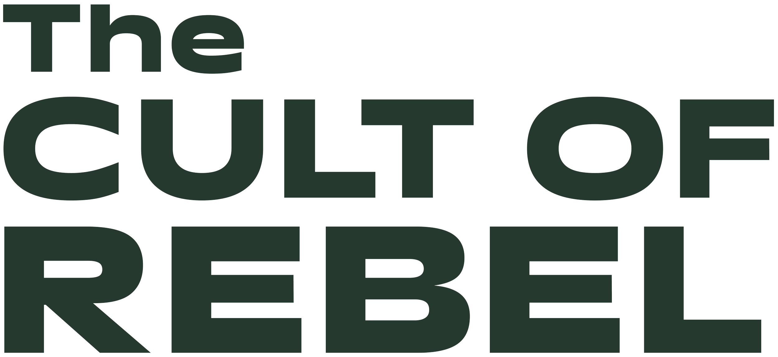 Rebel Marketing Logo