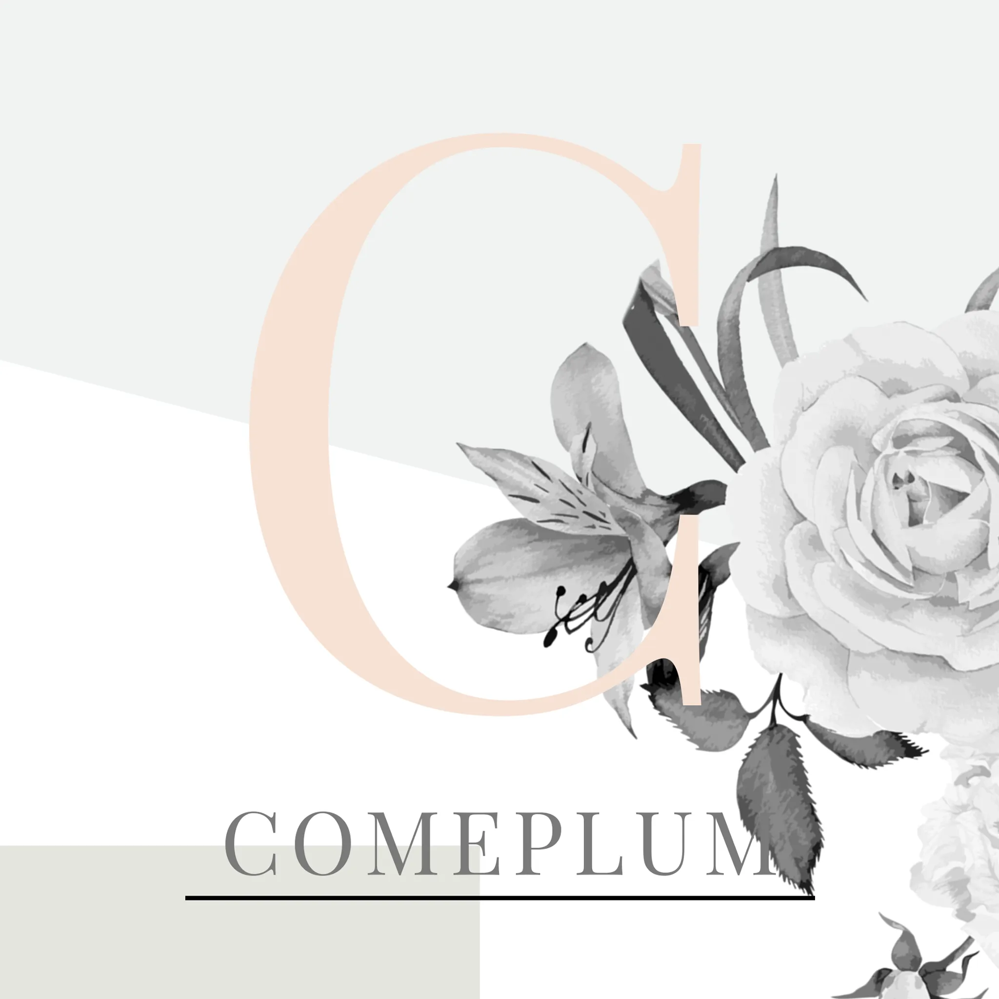 ComePlum Logo