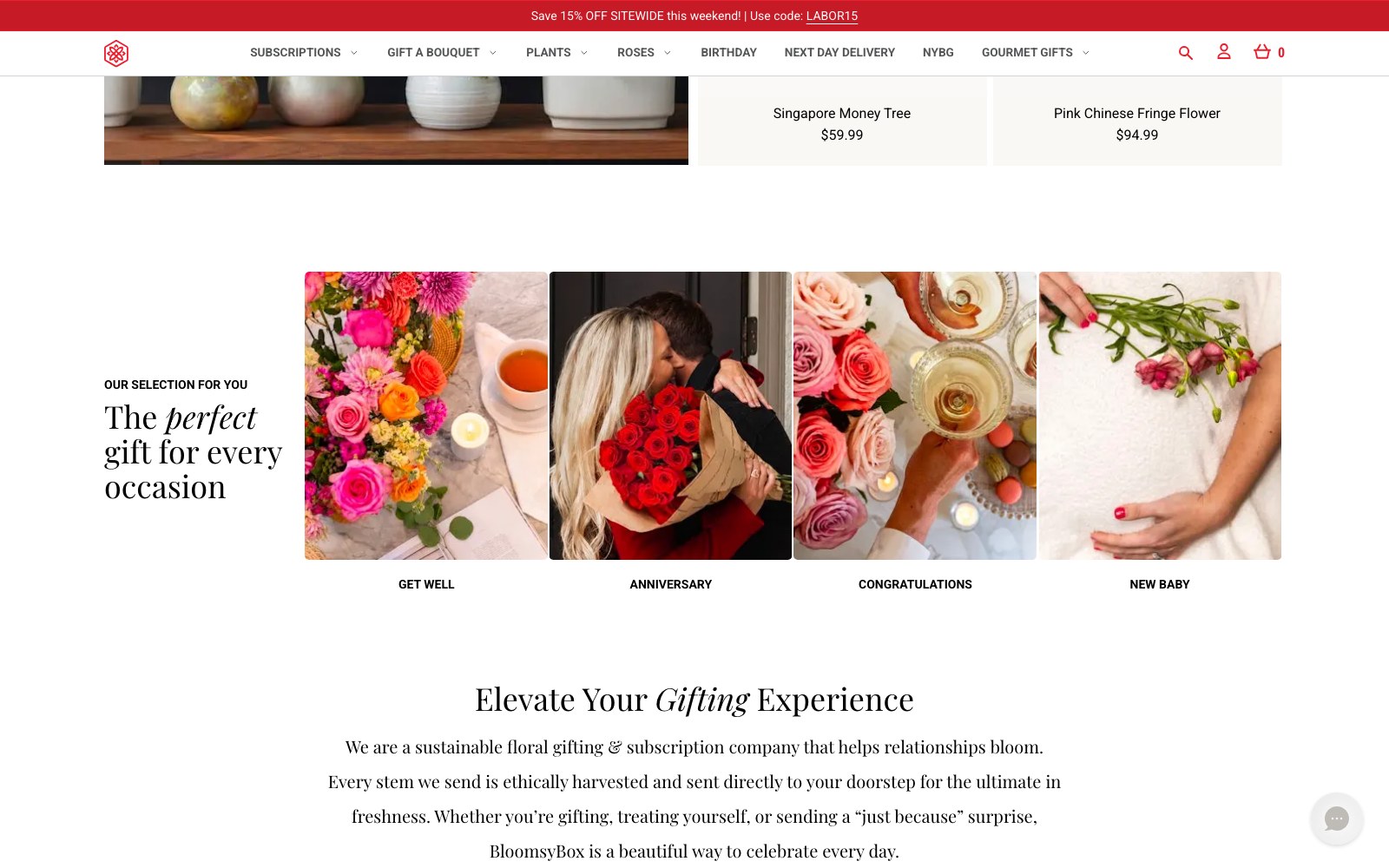 BloomsyBox gift-for-every-occasion photo collage