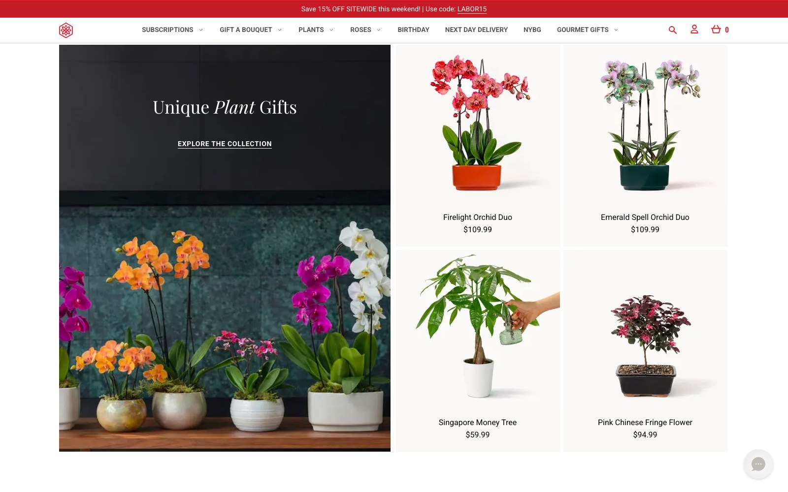 BloomsyBox Unique Plant Gifts collection band and product grid