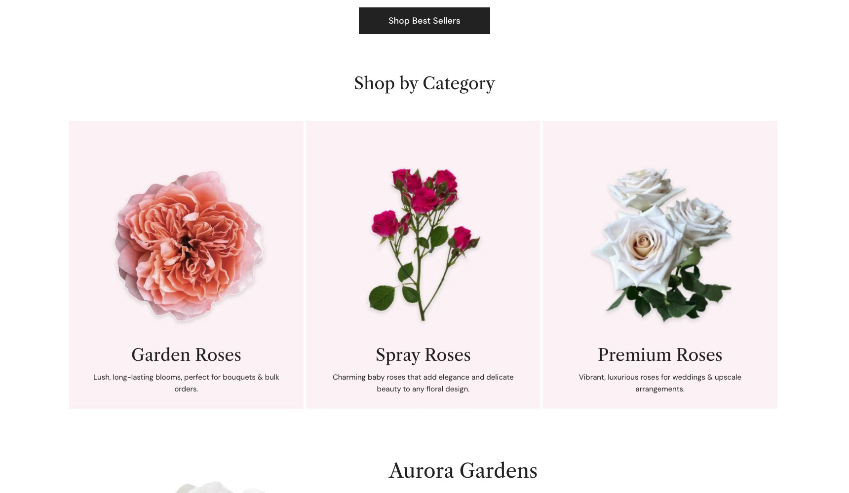 WholesaleRoses Shop by Category cards for garden, spray and premium roses