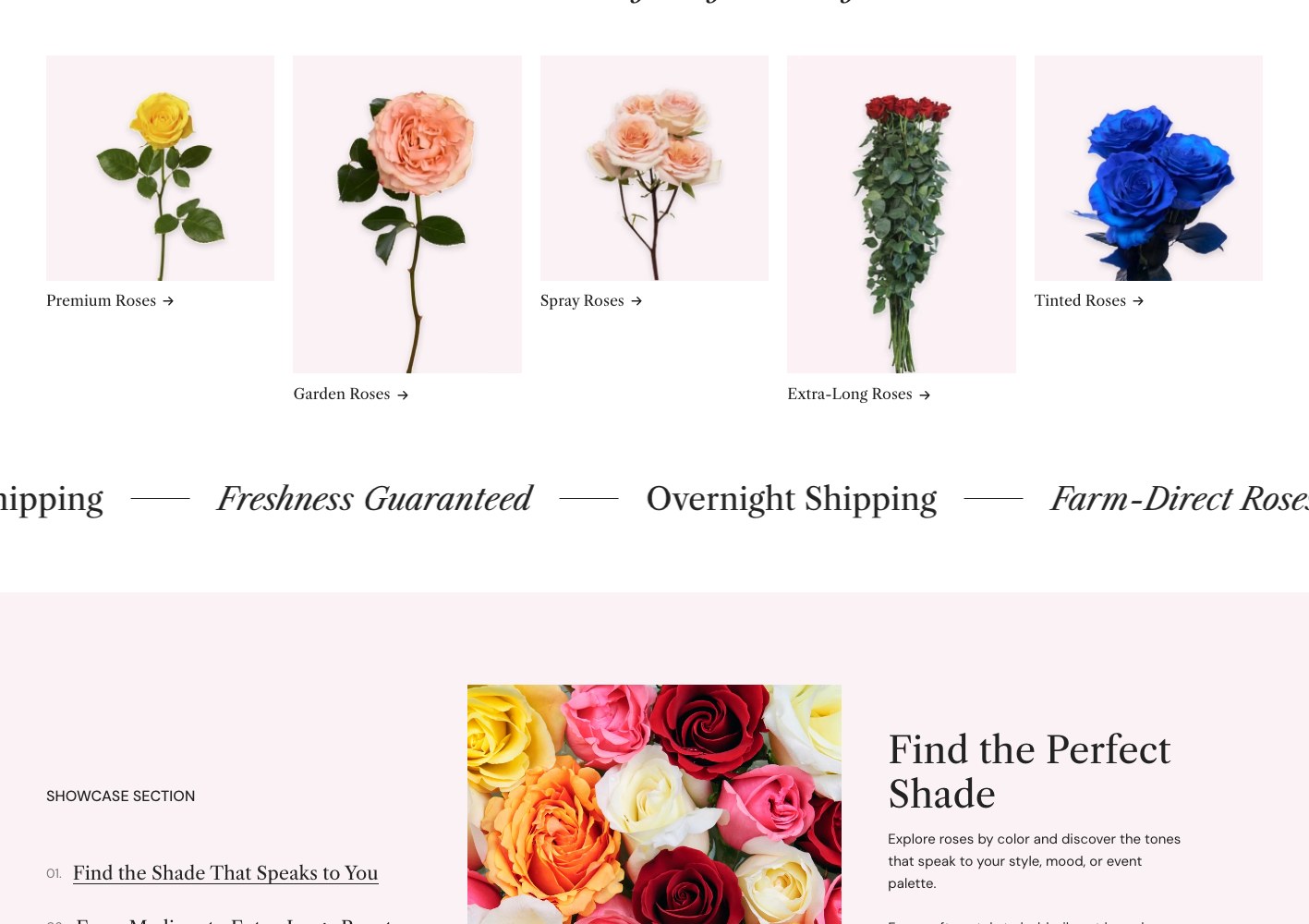 WholesaleRoses rose-type category cards above the shipping guarantee marquee