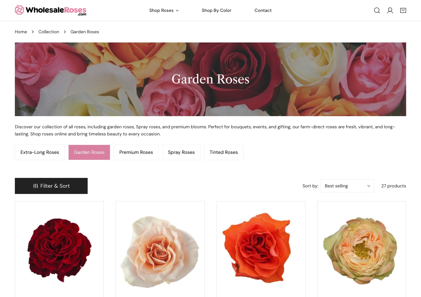 WholesaleRoses Garden Roses collection page with filter and sort controls