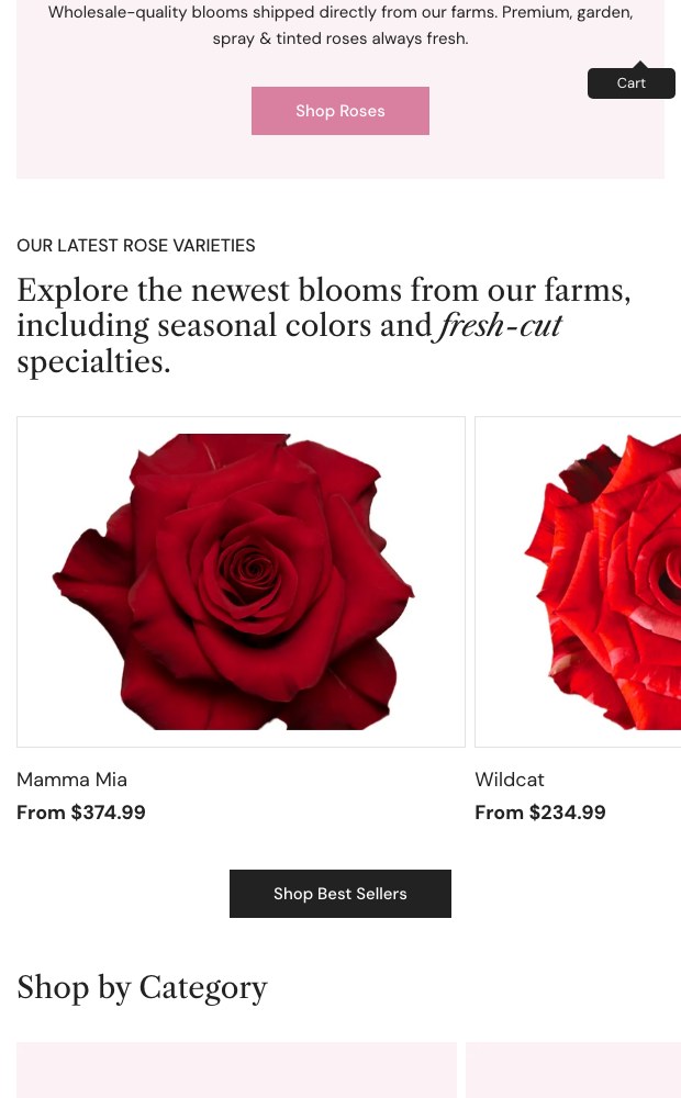WholesaleRoses mobile layout — latest rose varieties with bulk prices