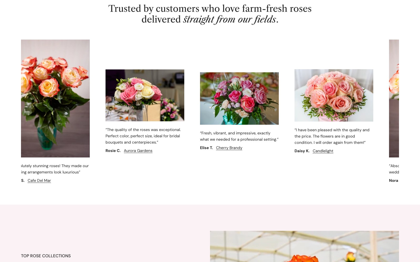 WholesaleRoses customer review cards above the top rose collections
