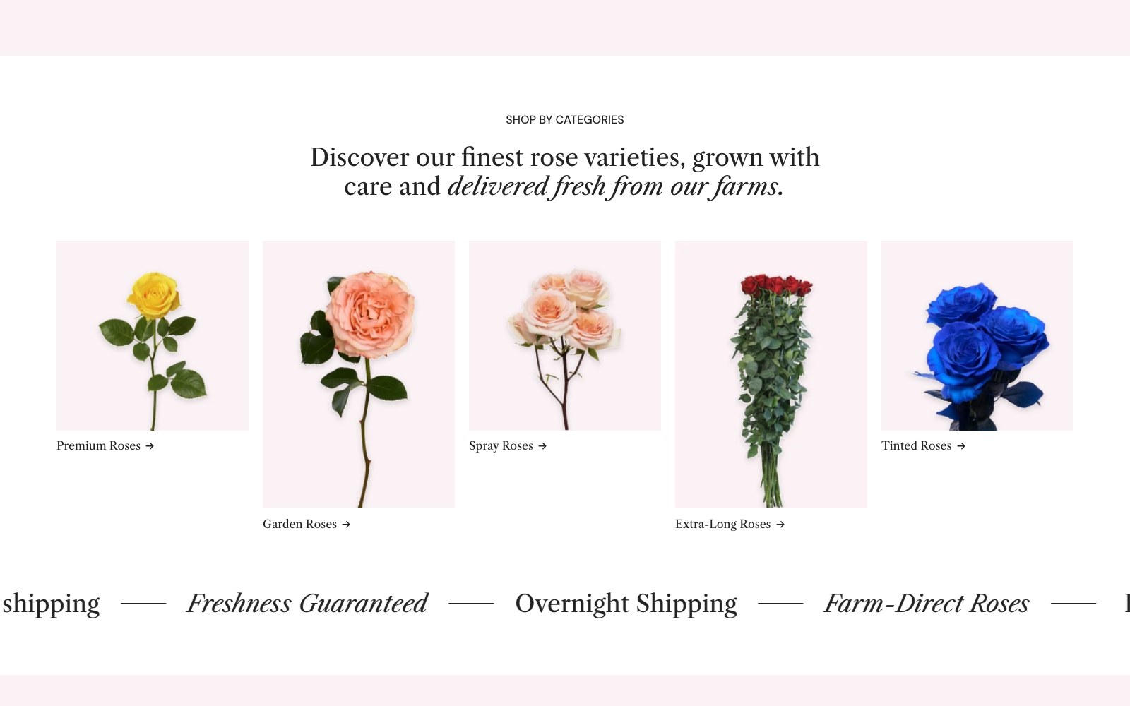 WholesaleRoses shop-by-category rose type cards