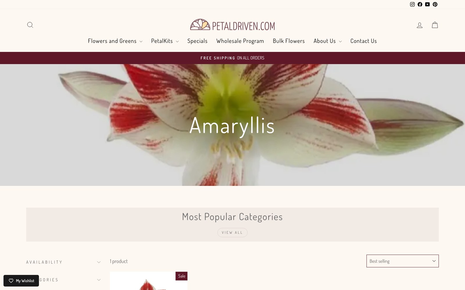 Amaryllis collection banner with a full-bleed bloom photograph
