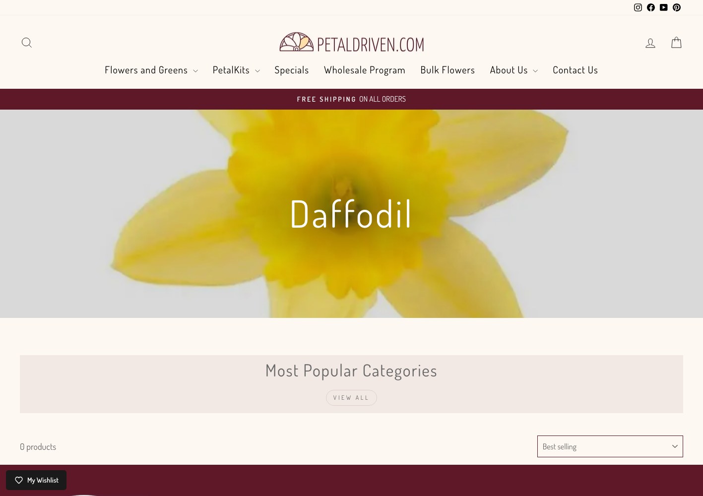 Daffodil collection banner in full-bleed yellow