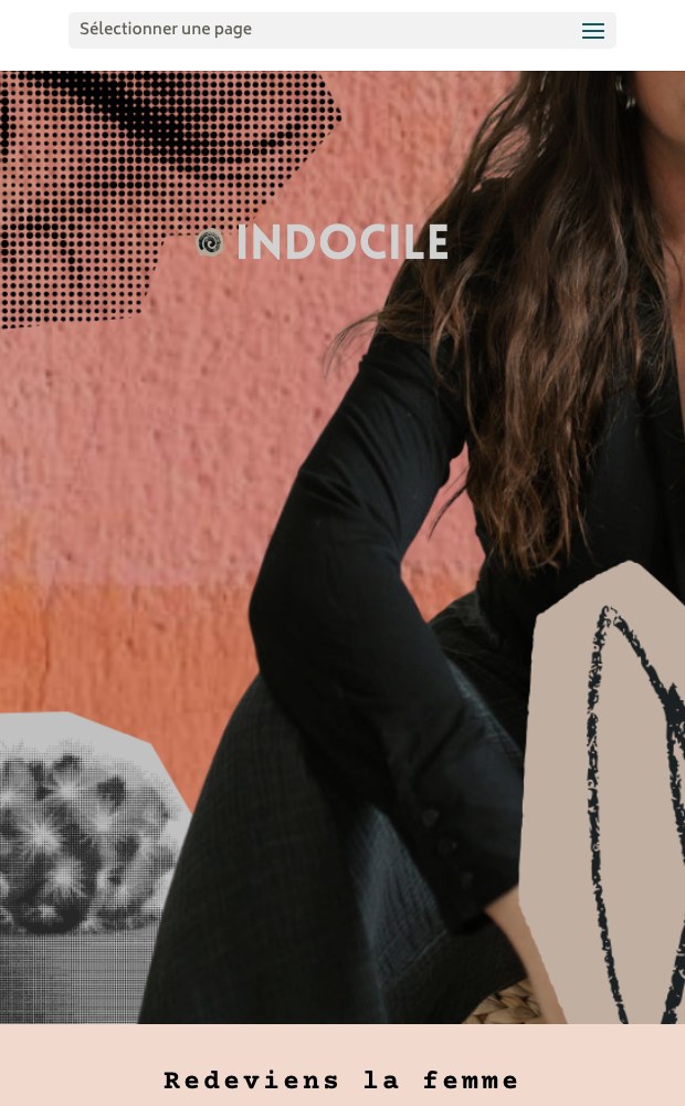 Mobile INDOCILE programme poster