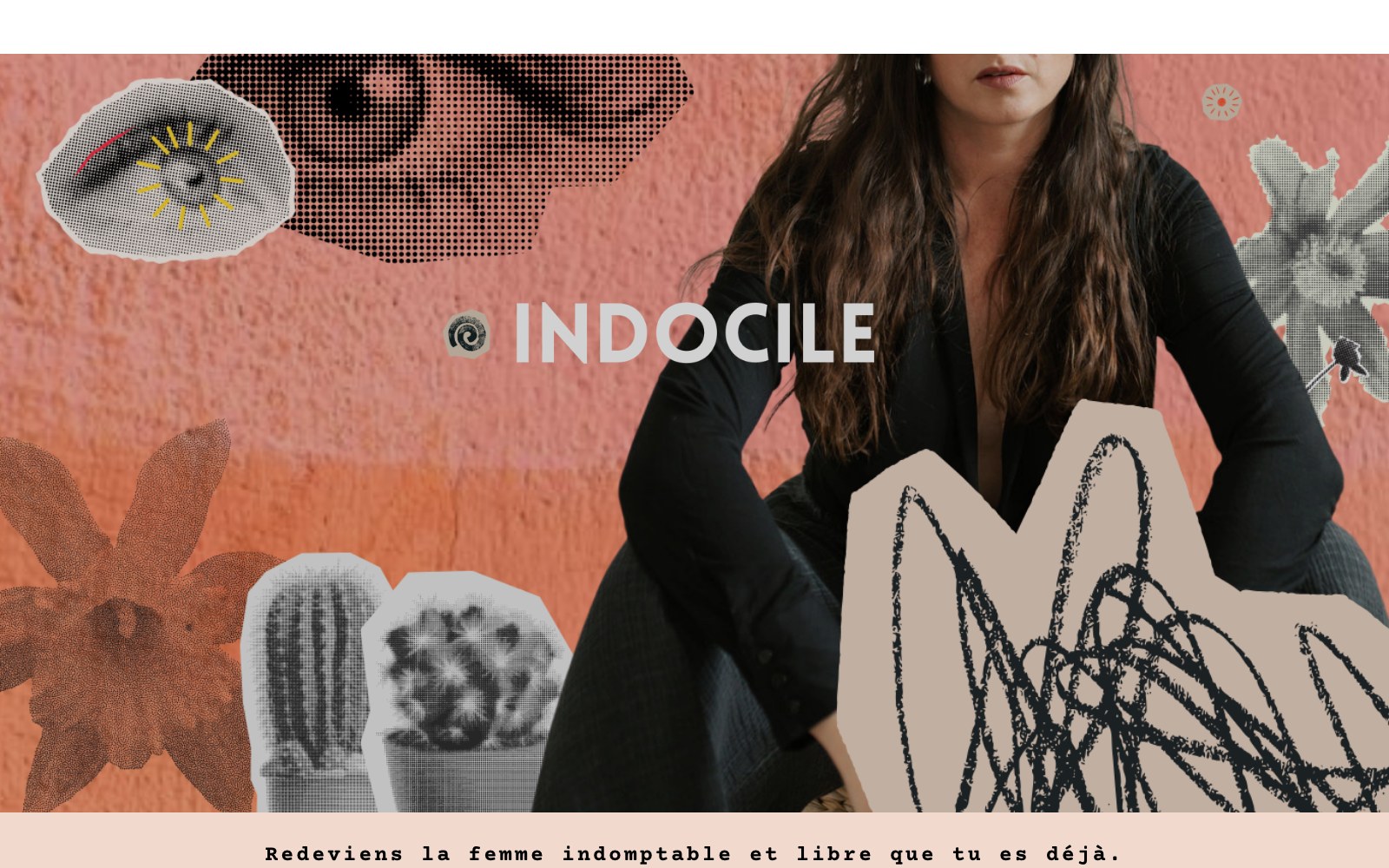 INDOCILE programme poster