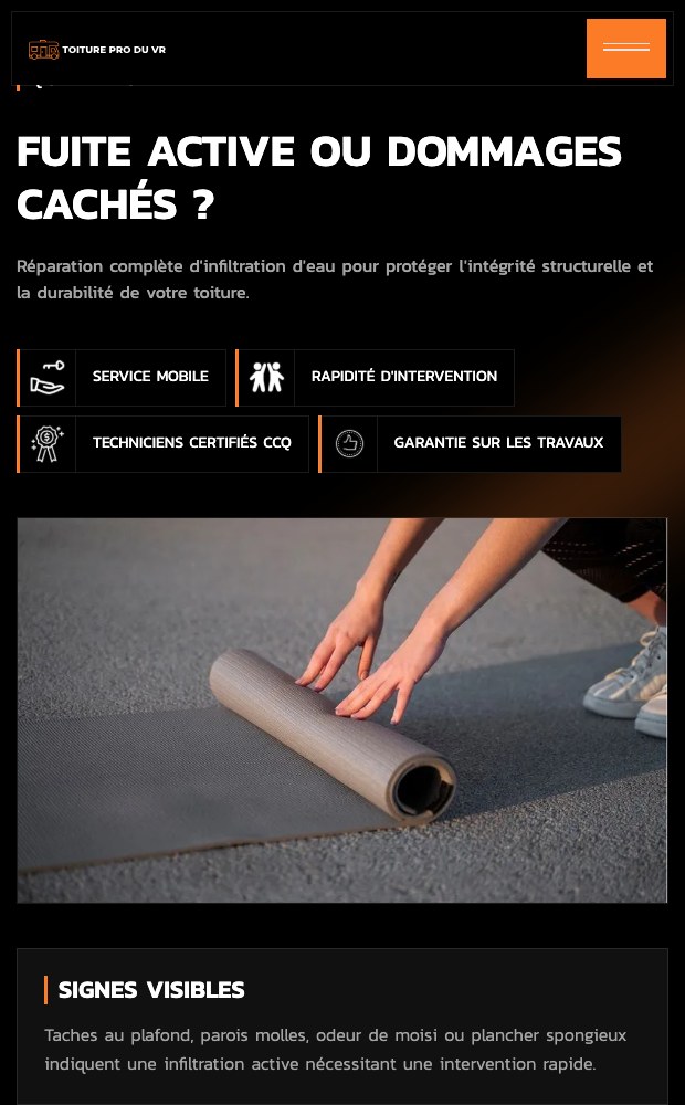 Toiture VR mobile active leak and hidden damage section
