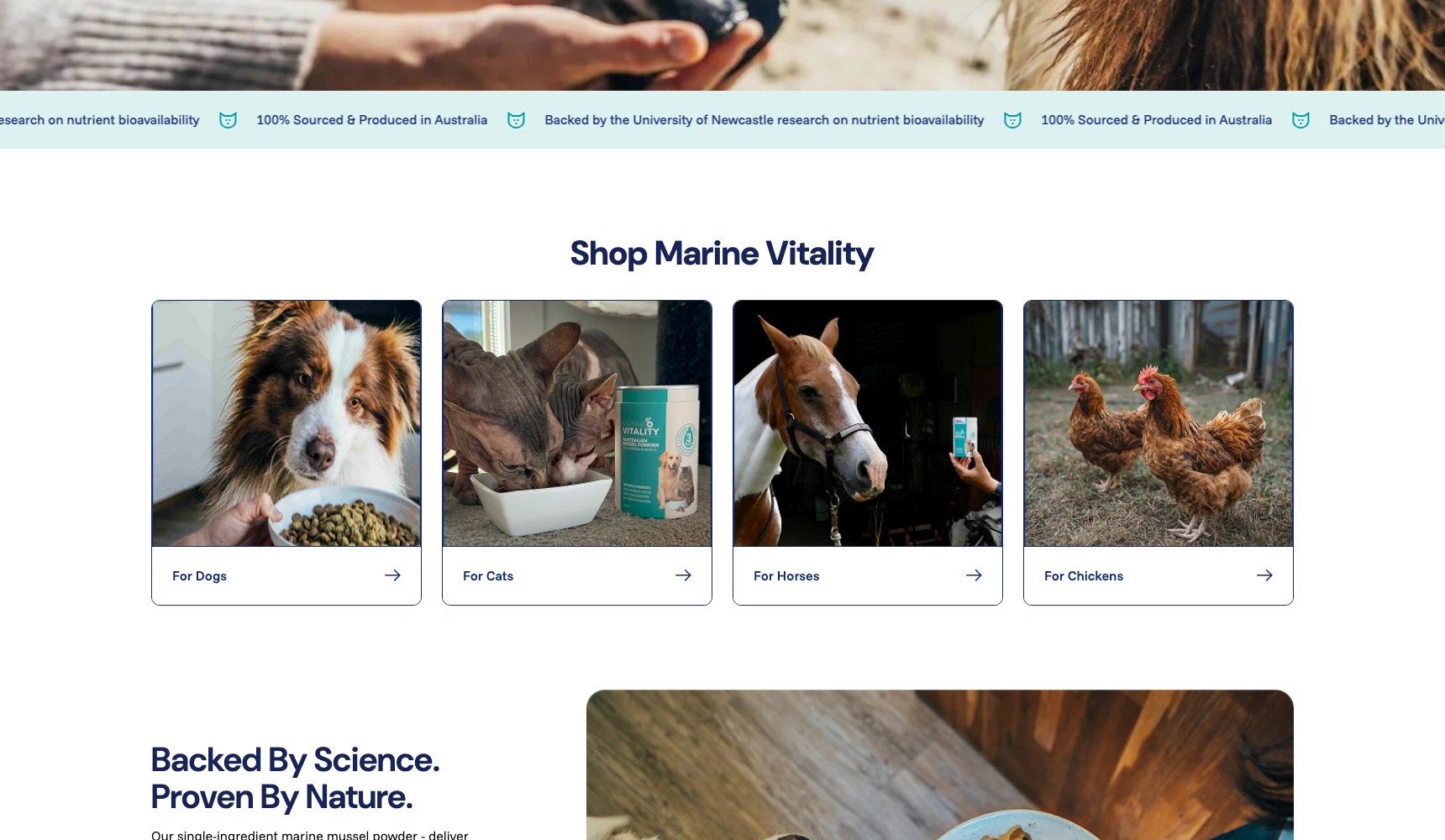 Shop by animal tiles for dogs, cats, horses and chickens