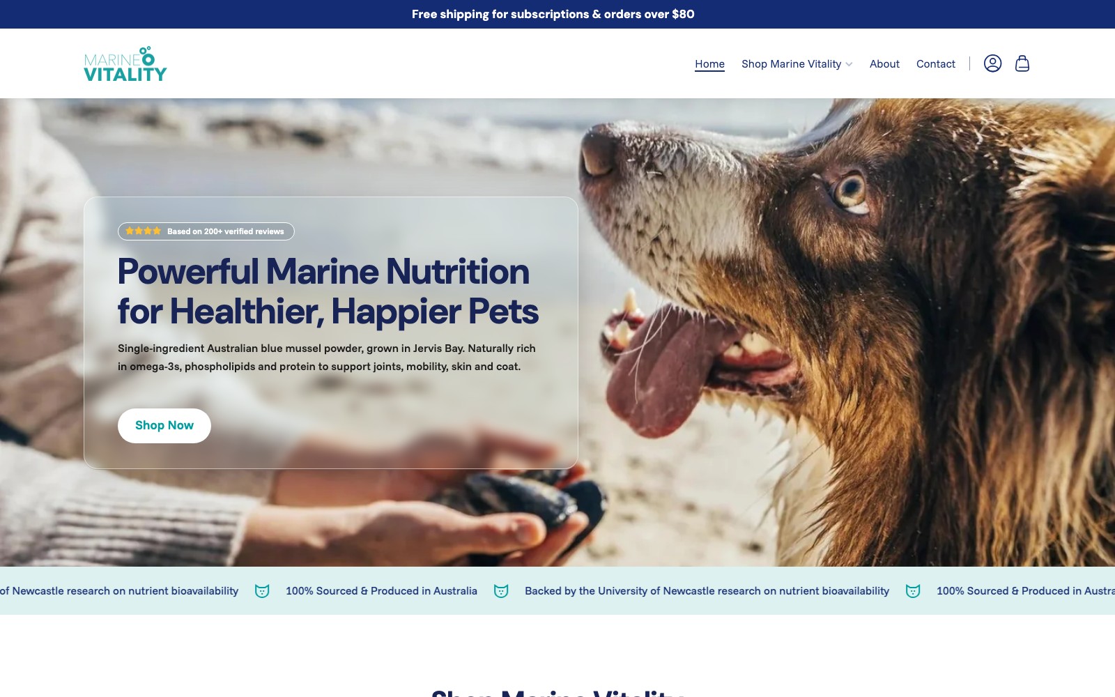 Marine Vitality website homepage