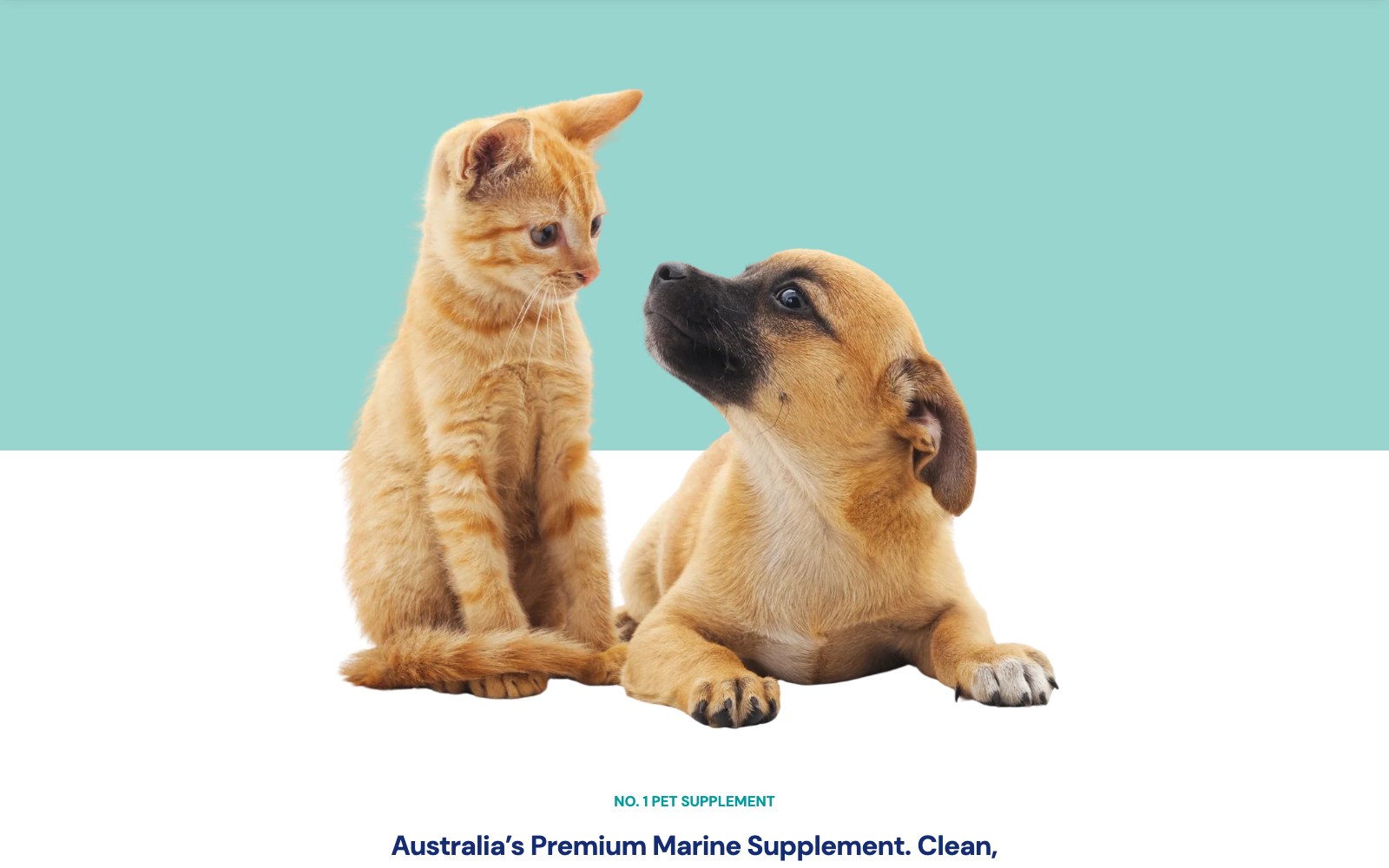 Australia's premium marine supplement, over puppy and kitten photography